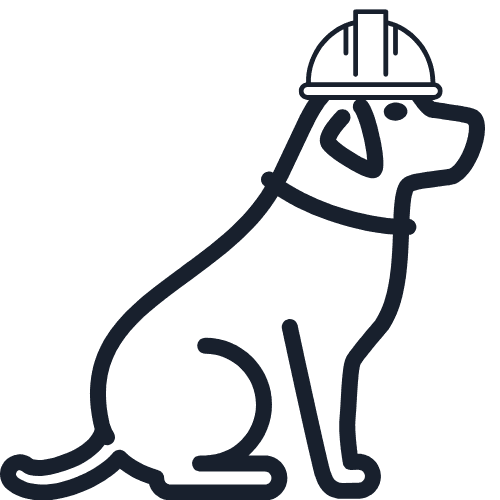 dog with hard hat
