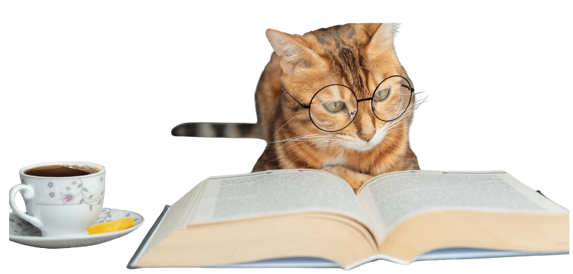 Understanding Your Cat’s Body Language