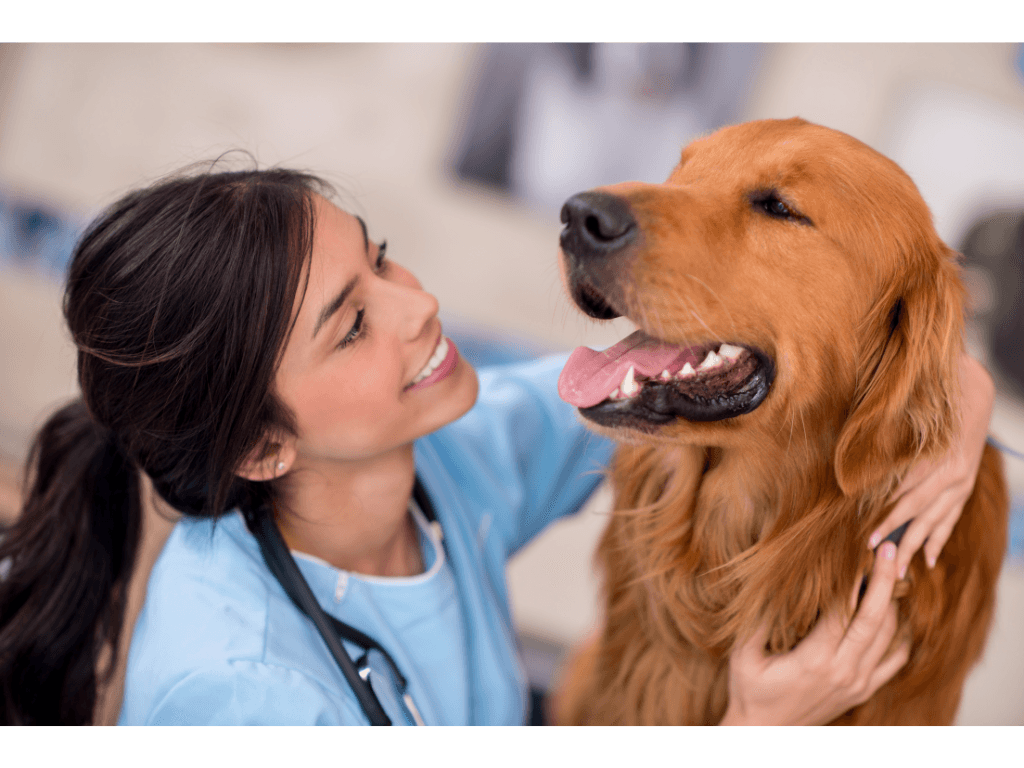 Dog sniffing medical samples