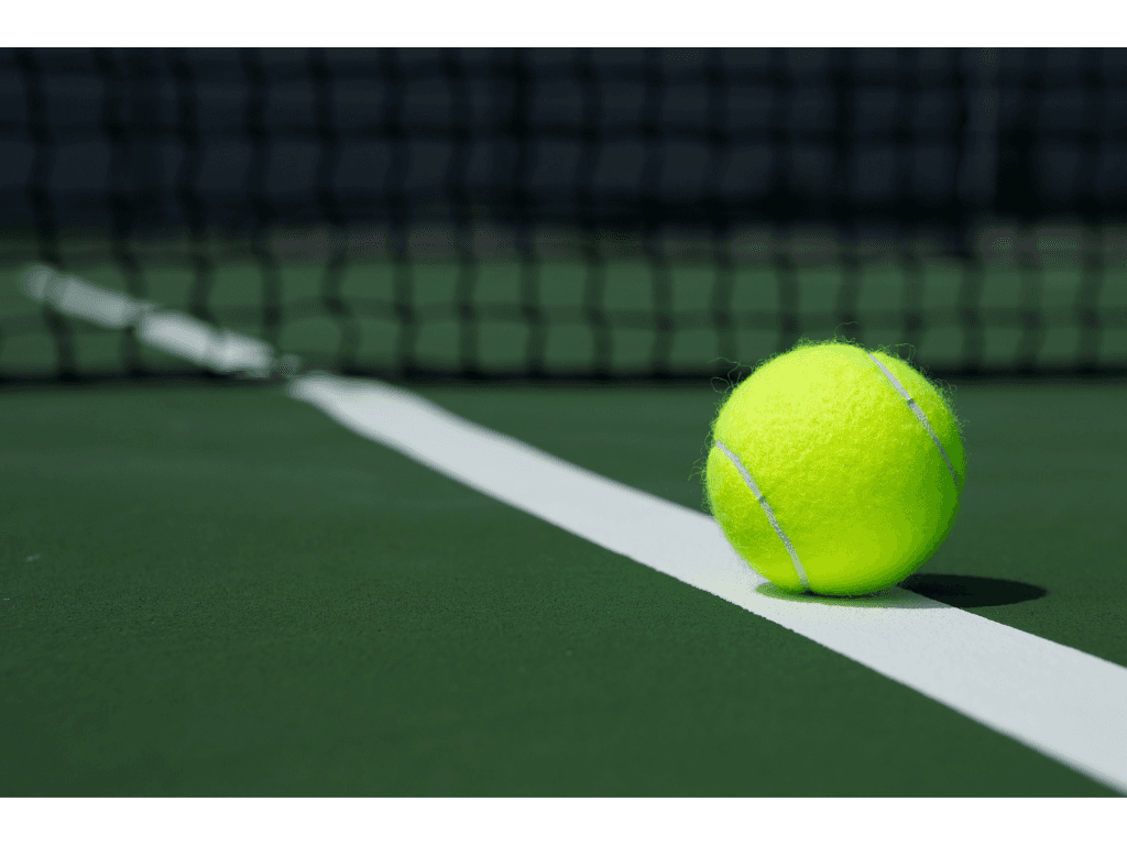 Dog holding tennis ball